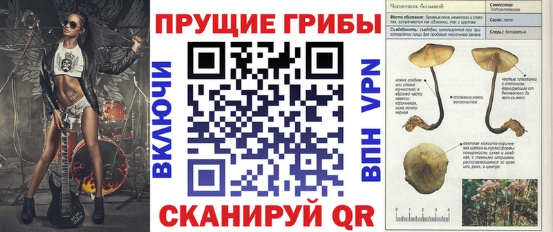 Галлюциногенные грибы мицелий  даркнет сайт  Верхняя Пышма 